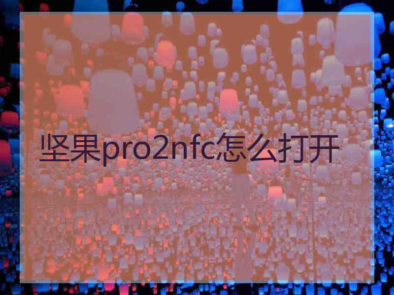 坚果pro2nfc怎么打开