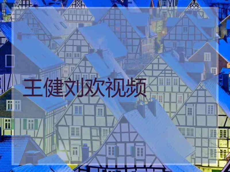 王健刘欢视频