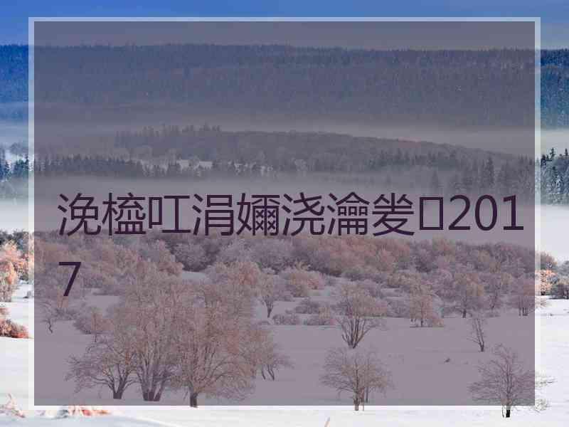 浼橀叿涓嬭浇瀹夎2017