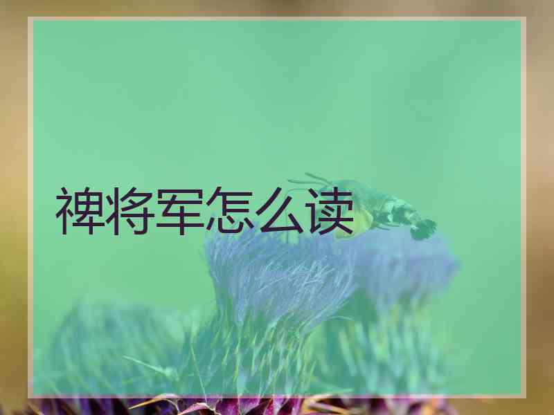 禆将军怎么读
