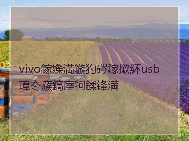 vivo鎵嬫満鏃犳硶鎵撳紑usb璋冭瘯鎬庢牱鍒锋満