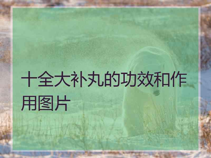 十全大补丸的功效和作用图片