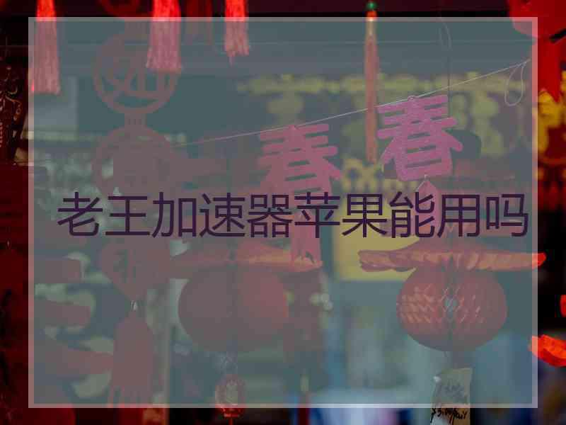 老王加速器苹果能用吗