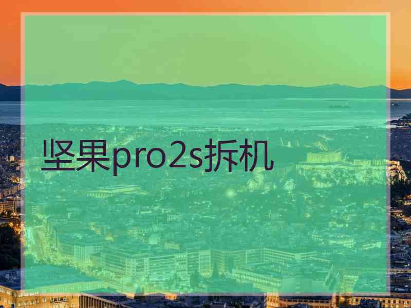 坚果pro2s拆机