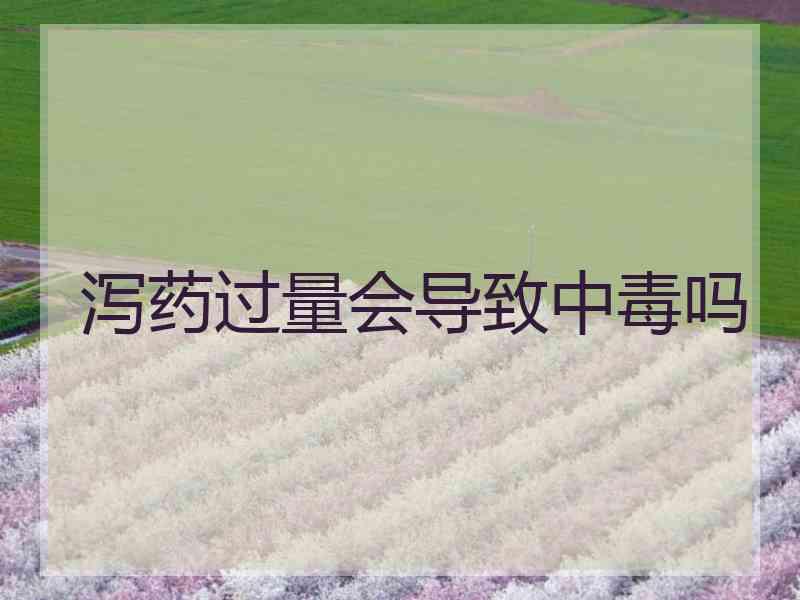 泻药过量会导致中毒吗