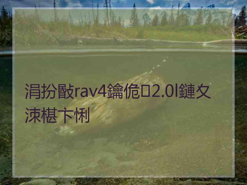涓扮敯rav4鑰佹2.0l鏈夊洓椹卞悧