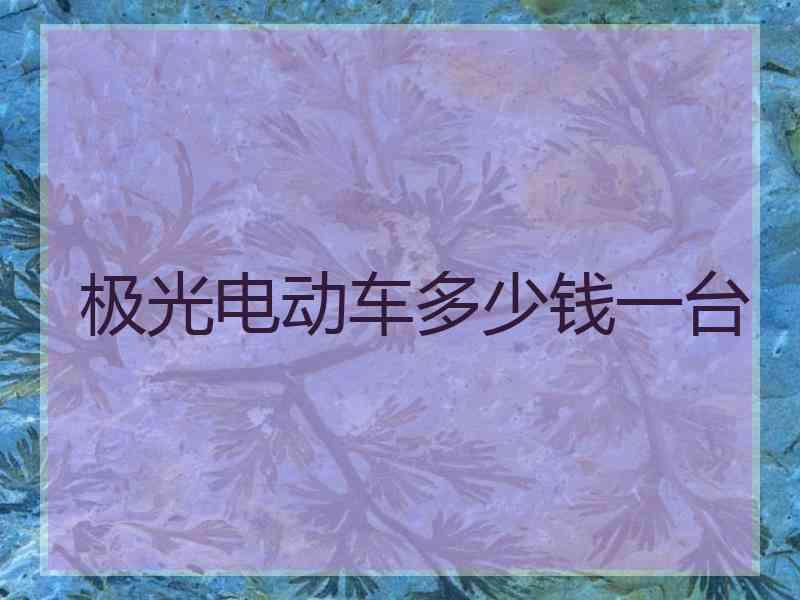 极光电动车多少钱一台