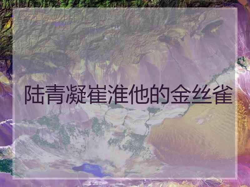陆青凝崔淮他的金丝雀