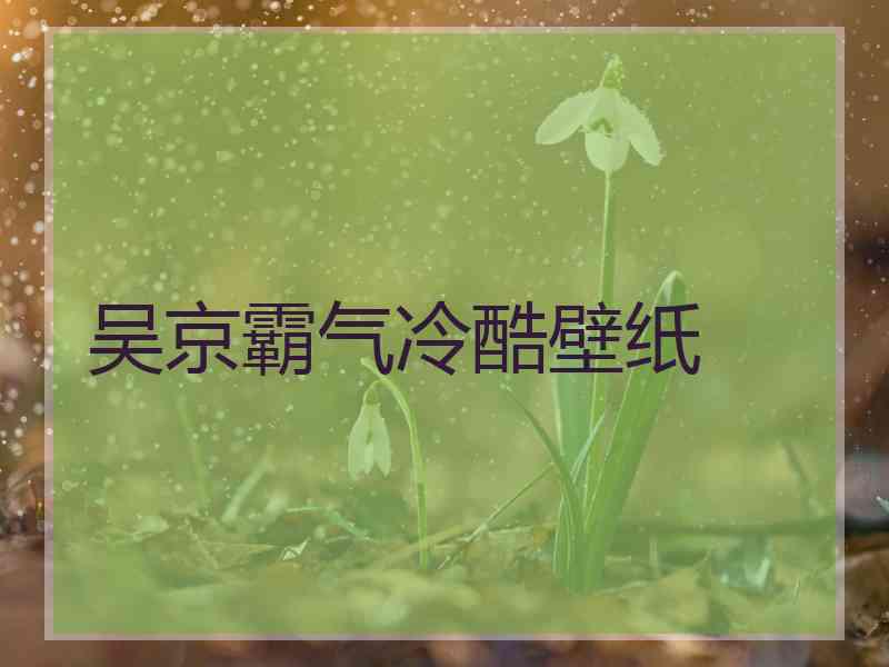 吴京霸气冷酷壁纸