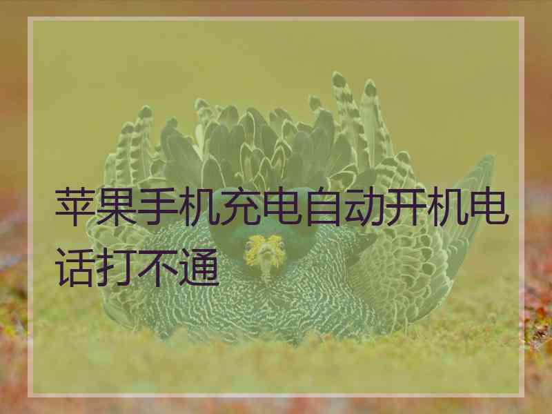 苹果手机充电自动开机电话打不通