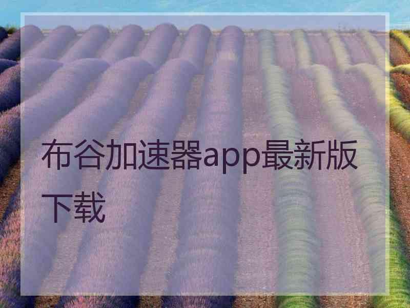 布谷加速器app最新版下载