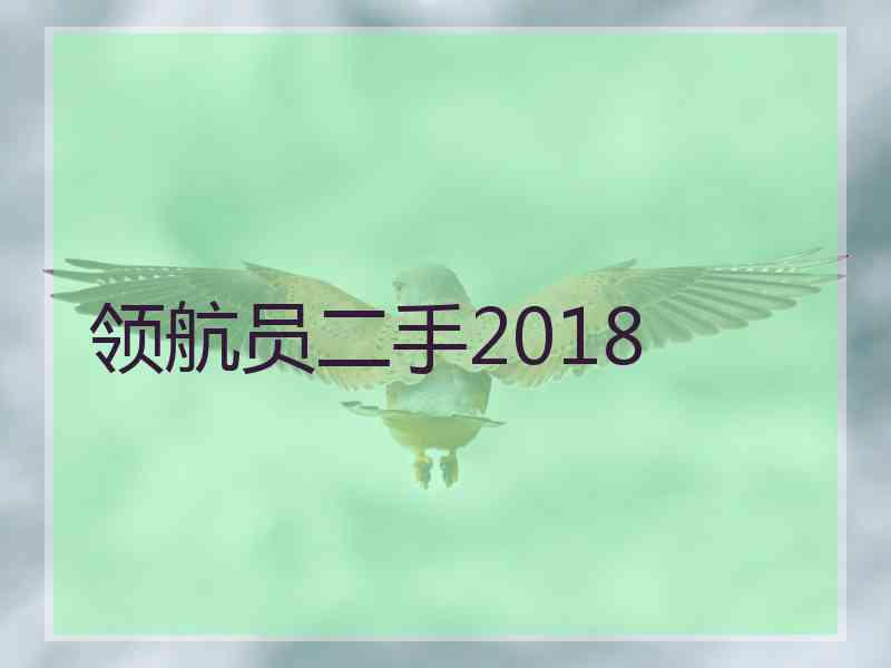 领航员二手2018