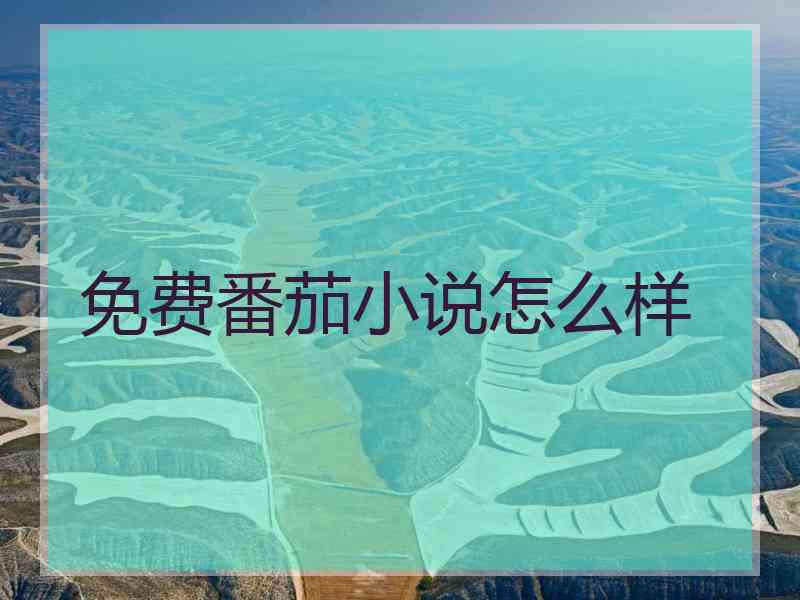 免费番茄小说怎么样