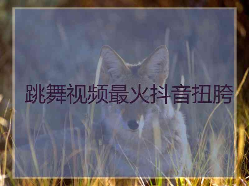 跳舞视频最火抖音扭胯