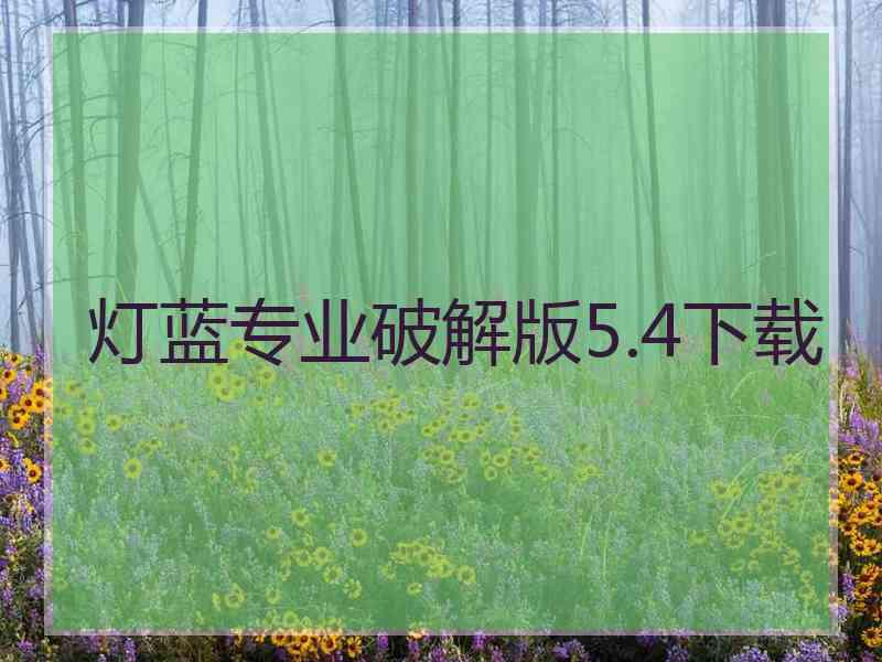 灯蓝专业破解版5.4下载