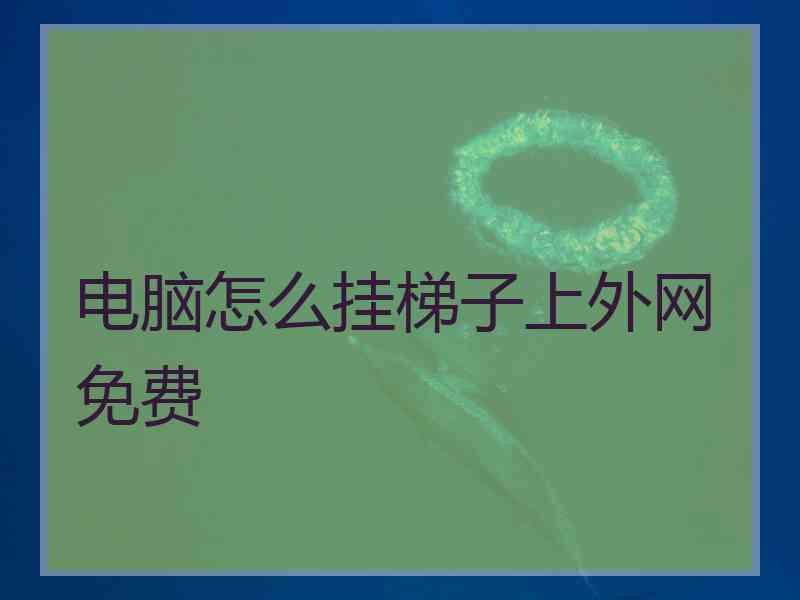 电脑怎么挂梯子上外网免费