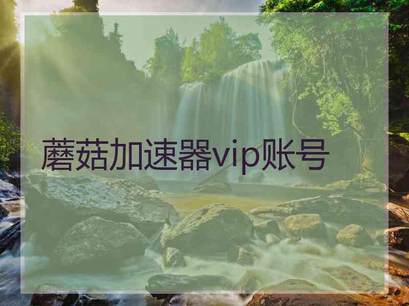 蘑菇加速器vip账号