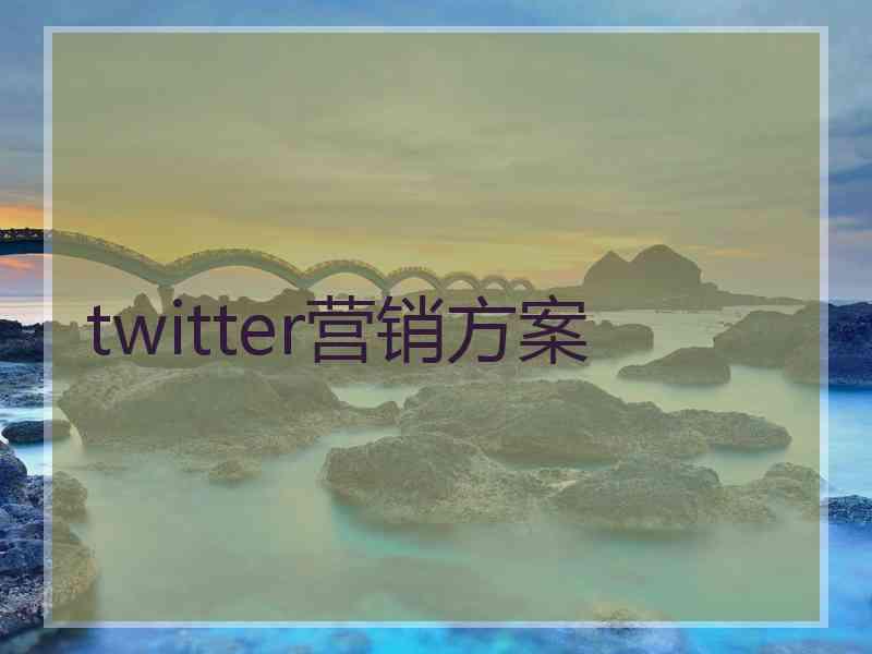 twitter营销方案