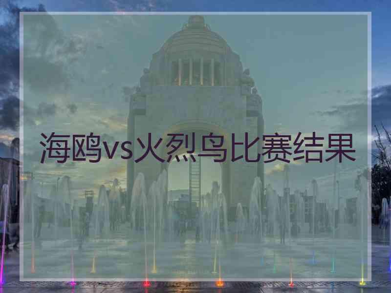 海鸥vs火烈鸟比赛结果
