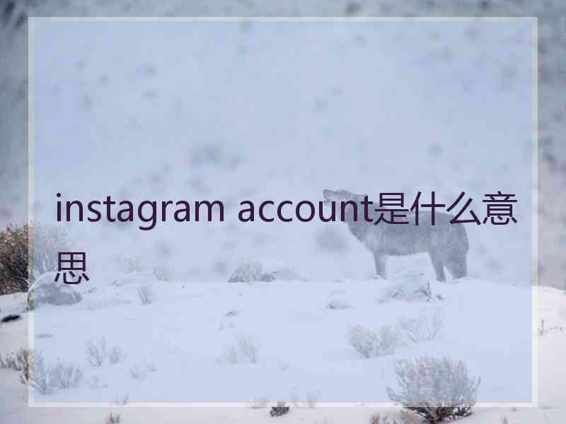 instagram account是什么意思