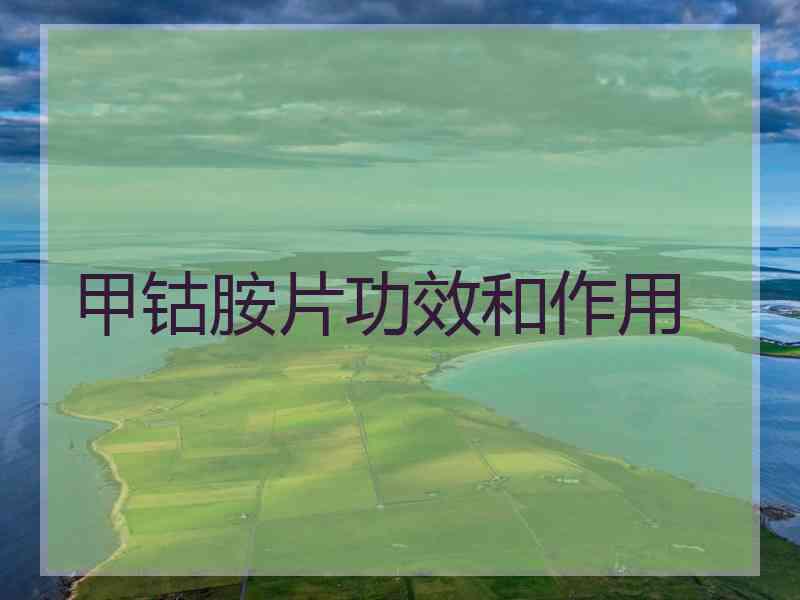 甲钴胺片功效和作用