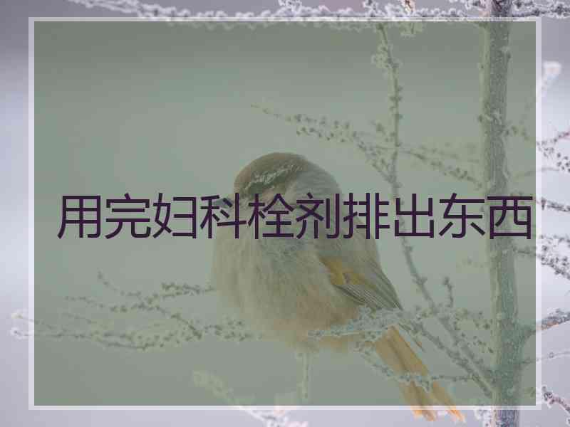 用完妇科栓剂排出东西