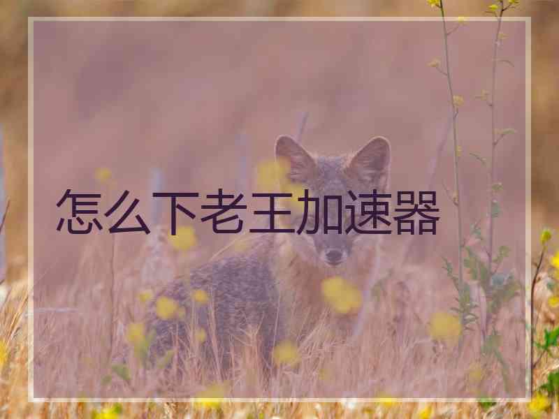 怎么下老王加速器