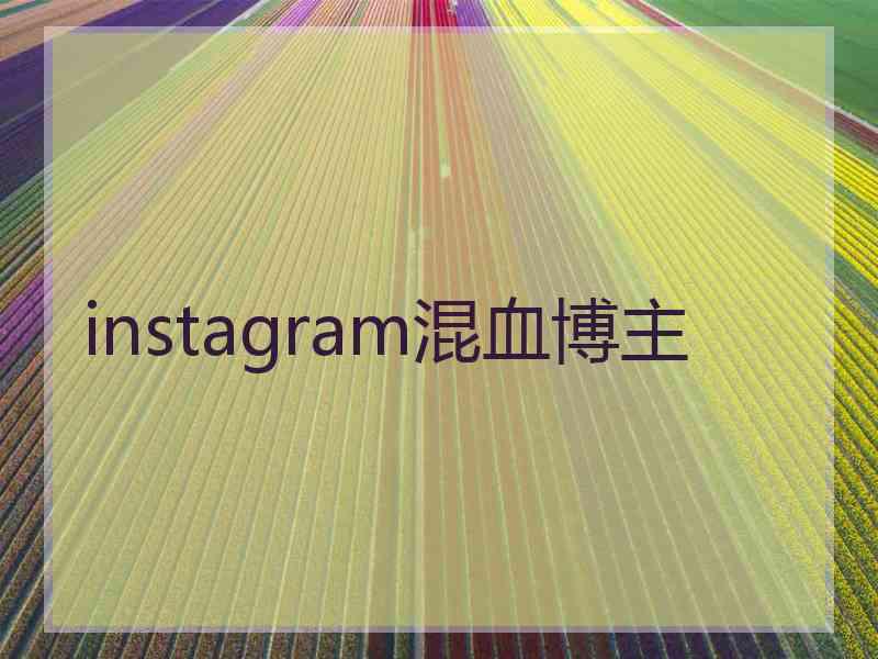 instagram混血博主
