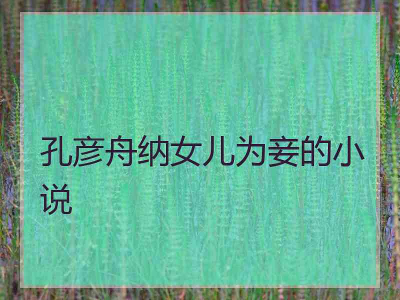 孔彦舟纳女儿为妾的小说