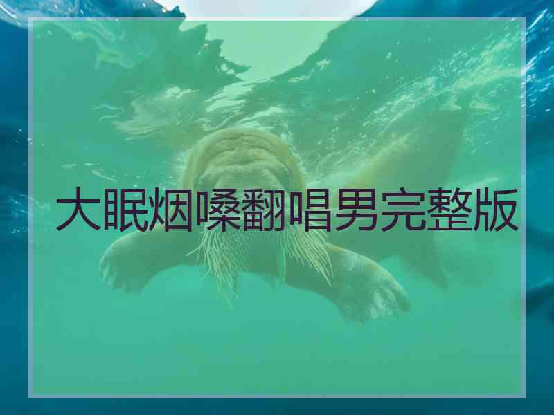 大眠烟嗓翻唱男完整版