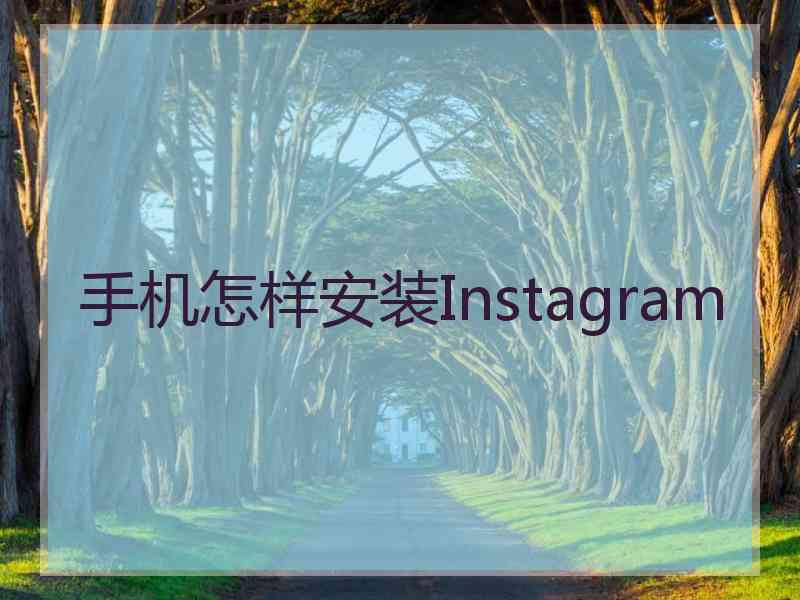 手机怎样安装Instagram