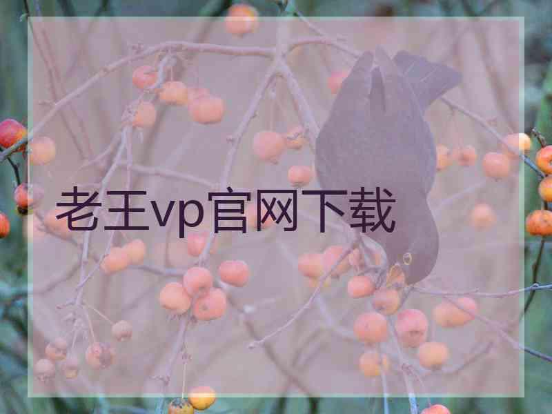 老王vp官网下载
