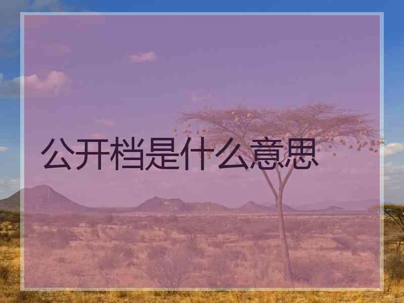 公开档是什么意思