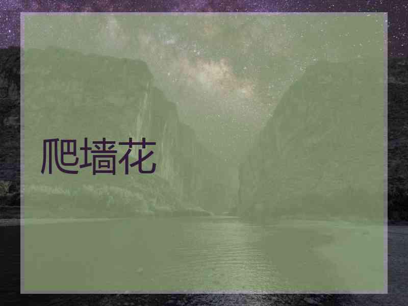 爬墙花