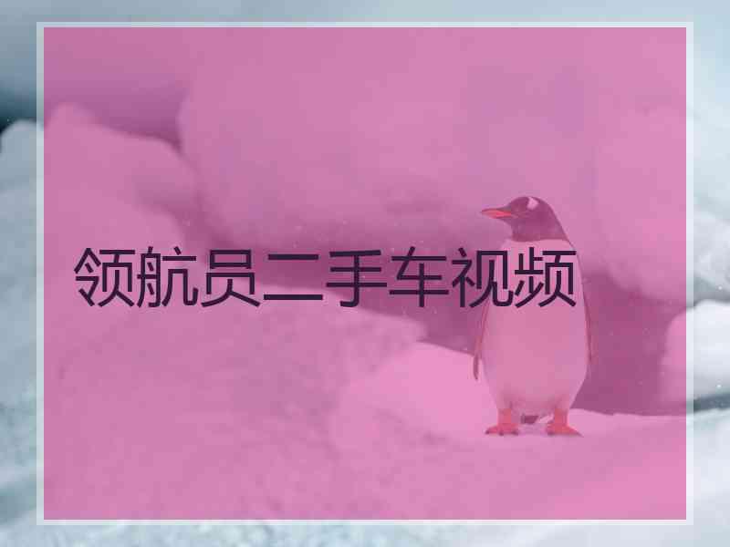 领航员二手车视频