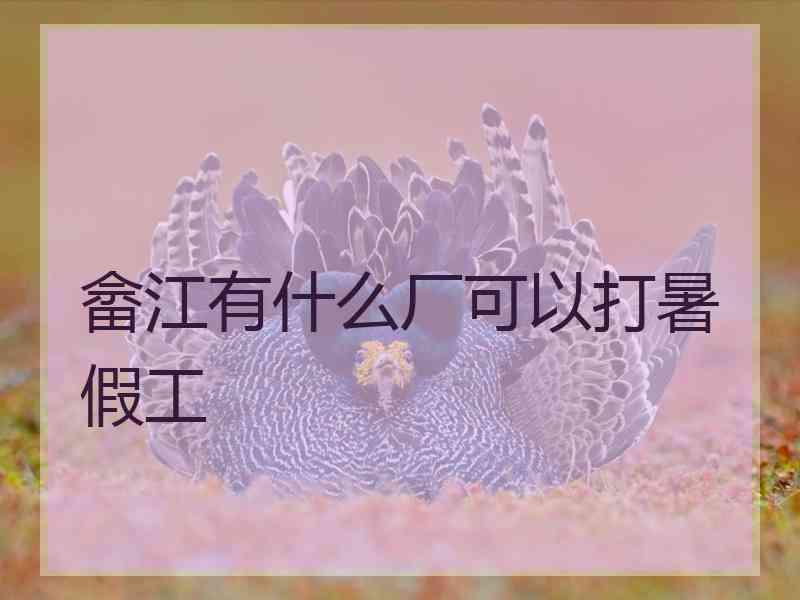 畲江有什么厂可以打暑假工