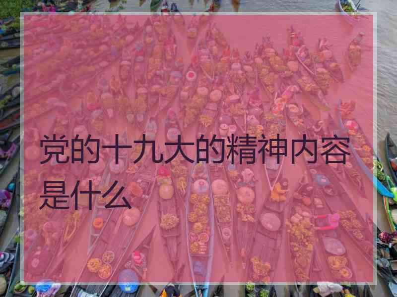 党的十九大的精神内容是什么