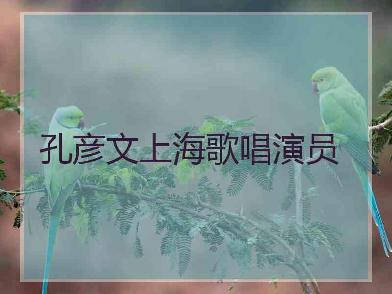 孔彦文上海歌唱演员