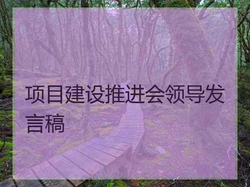 项目建设推进会领导发言稿