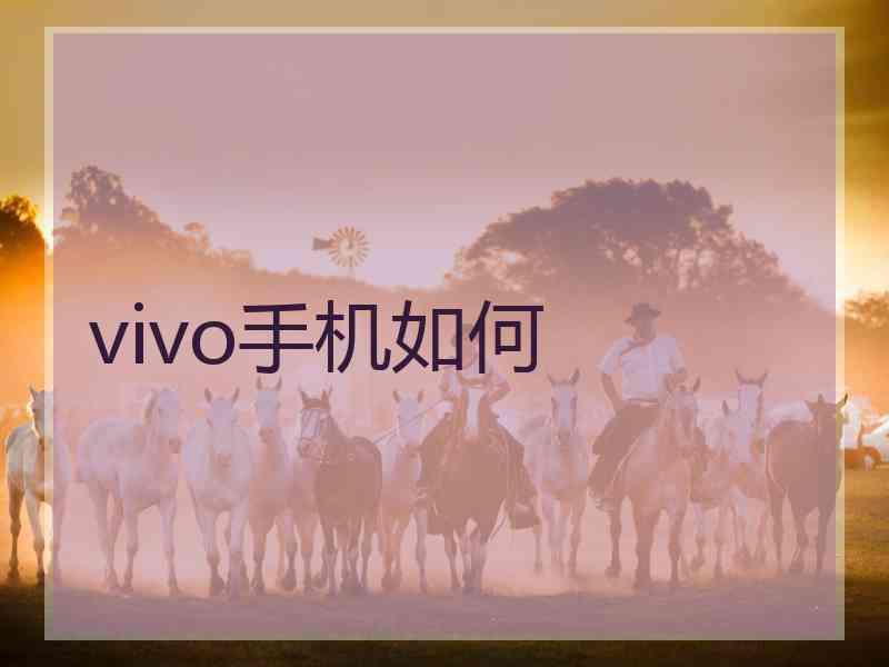 vivo手机如何