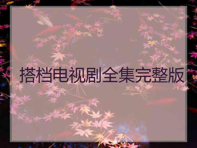 搭档电视剧全集完整版