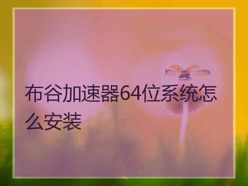 布谷加速器64位系统怎么安装