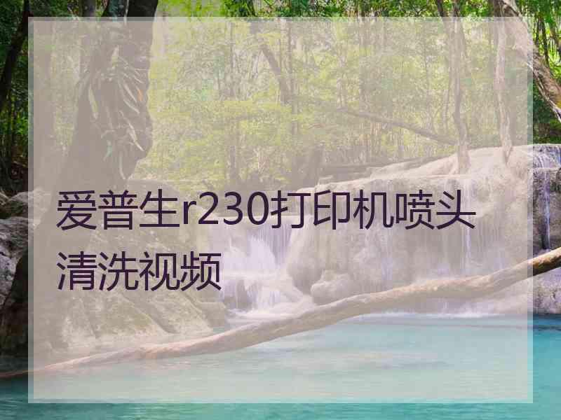 爱普生r230打印机喷头清洗视频