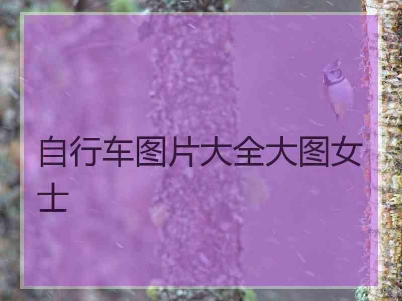 自行车图片大全大图女士