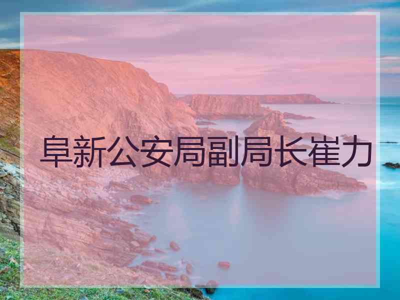 阜新公安局副局长崔力