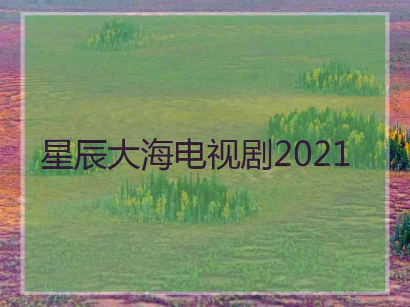 星辰大海电视剧2021