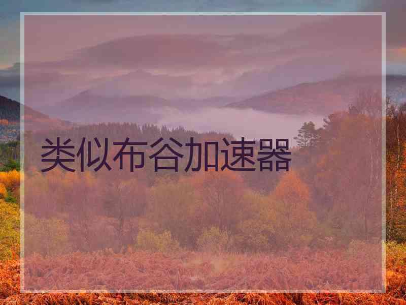 类似布谷加速器