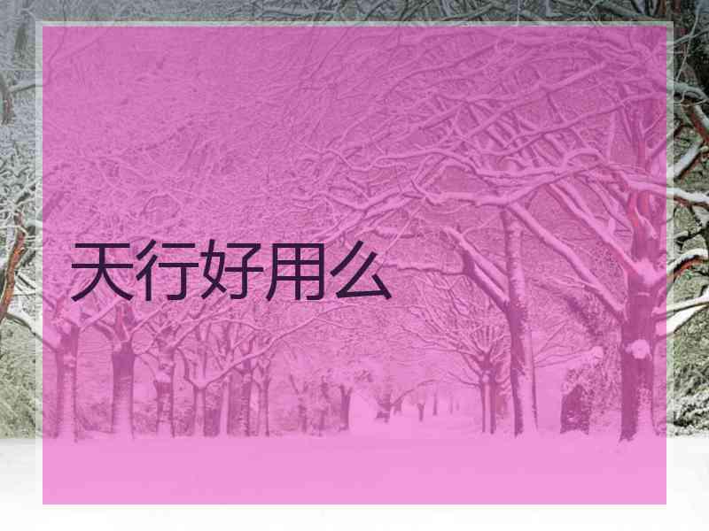 天行好用么