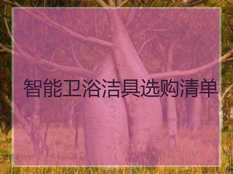 智能卫浴洁具选购清单