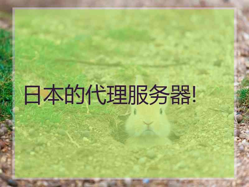 日本的代理服务器!